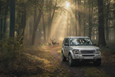 The Mystery of Error Codes in a Discovery 3: The Immobilizer is Often the Real Culprit